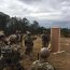 Comando de Fuerzas Especiales participa en ejercicio con sus pares de EE.UU.