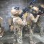 Comando de Fuerzas Especiales participa en ejercicio con sus pares de EE.UU.
