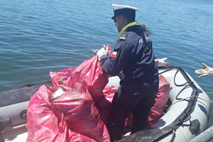 Marinos se unieron al operativo de limpieza en el río Valdivia