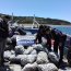 Más de 5 toneladas de almejas fueron incautadas cerca de Calbuco