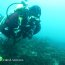 Armada apoya investigación en la Antártica para conocer la cadena depredativa submarina