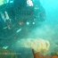 Armada apoya investigación en la Antártica para conocer la cadena depredativa submarina