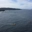 Armada rescató a 12 pasajeros de bote a motor que se encontraba a la deriva
