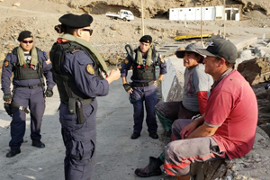 LSG “Arica” decomisó más de 900 locos desconchados en veda