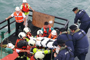 Armada evacuó a pasajera estadounidense desde crucero en las cercanías de Coronel