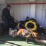 Policía Marítima de la Capitanía de Puerto de Quellón realizó fiscalización antidroga