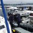 Avión Naval apoyó rebusca donde se encontró el cuerpo de la turista alemana desaparecida en Lago Llanquihue