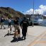 Alderfried: El Pastor Belga Malinois de la Armada que trabaja como detector de drogas