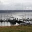 Unidades navales apoyarán la Primera regata internacional Cabo de Hornos 2019