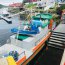 Autoridad Marítima decomisó 720 kilos de salmón en Puerto Aguirre