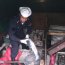Autoridad Marítima decomisó 720 kilos de salmón en Puerto Aguirre