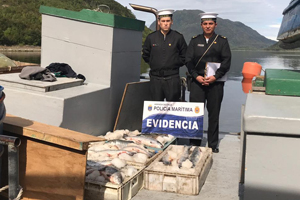 Autoridad Marítima decomisó 720 kilos de salmón en Puerto Aguirre
