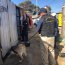 Decomisan de droga en caleta de Pescadores El Manzano, en Quinteros