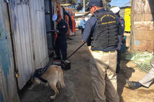 Decomisan de droga en caleta de Pescadores El Manzano, en Quintero