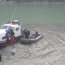 Delfín varó en área de Caleta Tortel
