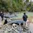 Delfín varó en área de Caleta Tortel
