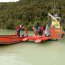 Delfín varó en área de Caleta Tortel
