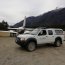 Delfín varó en área de Caleta Tortel