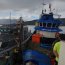 Decomisan 426 kilos de centolla en Puerto Chacabuco