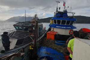Decomisan 426 kilos de centolla en Puerto Chacabuco