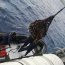 OPV “Comandante Toro” prestó apoyo logístico a Rapa Nui