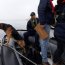  Junto a can de Capitanía de Puerto de Tongoy se detuvo embarcación que no contaba con documentos  