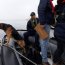 Junto a can de Capitanía de Puerto de Tongoy se detuvo embarcación que no contaba con documentos