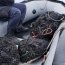 Más de 180 kilos de mariscos fueron decomisados en Tongoy por la Autoridad Marítima