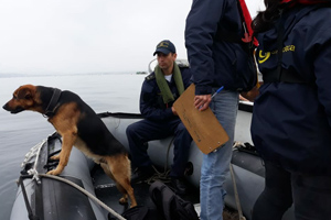 Perro de la Capitanía de Puerto de Tongoy apoyó detención de nave que no contaba con documentos
