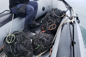 Más de 180 kilos de mariscos fueron decomisados en Tongoy por la Autoridad Marítima