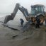 Ballena varada en Tongoy falleció pese a los intentos por salvarla