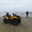 Ballena de 8 metros varó en playa de Tongoy y Armada trabaja en maniobras de rescate