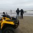 Ballena de 8 metros varó en playa de Tongoy y Armada trabaja en maniobras de rescate