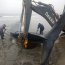 Ballena varada en Tongoy falleció pese a los intentos por salvarla