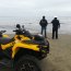 Ballena de 8 metros varó en playa de Tongoy y Armada trabaja en maniobras de rescate