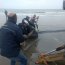 Ballena varada en Tongoy falleció pese a los intentos por salvarla