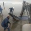 Ballena varada en Tongoy falleció pese a los intentos por salvarla