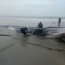 Ballena varada en Tongoy falleció pese a los intentos por salvarla