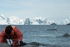 Tras navegar vuelta y media al mundo finalizó la Campaña Antártica 2018-2019
