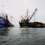 Armada junto a Sernapesca fiscalizaron embarcación con 35 toneladas de anchoveta