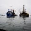 Armada junto a Sernapesca fiscalizaron embarcación con 35 toneladas de anchoveta