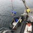  El Patrullero “Micalvi” realizó 50 mantenciones de señalizaciones marítimas en Aysén  