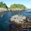 Grupo oceanográfico del SHOA finalizó trabajos en la región de Aysén