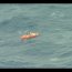  Armada se contactó con kayakista solitario ruso que ingresó remando a Chile  