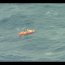 Armada se contactó con kayakista solitario ruso que ingresó remando a Chile