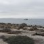 Capitanía de Puerto y Lancha de Servicio General Coquimbo participaron en la primera limpieza de playa en Isla Damas