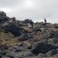 Capitanía de Puerto y Lancha de Servicio General Coquimbo participaron en la primera limpieza de playa en Isla Damas