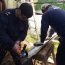 Personal naval reparó vivienda de anciana de 70 años en Puerto Chacabuco
