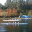 Seleccionado de Remo de la Escuela Naval participó en regata Glorias Navales