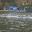 Seleccionado de Remo de la Escuela Naval participó en regata Glorias Navales